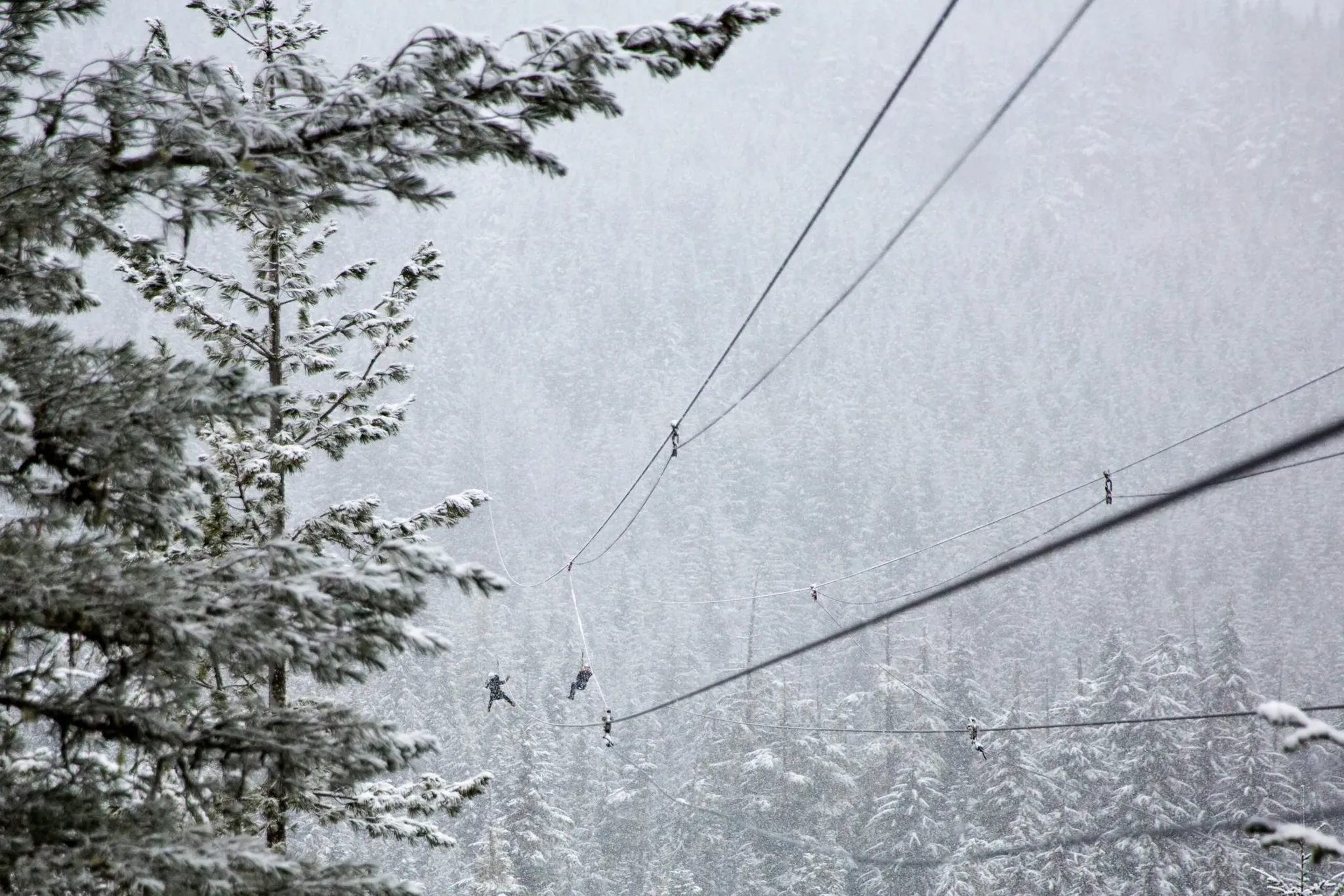 colorado rocky mountain snowy zipline adventure